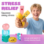 Assorted Stress Relief Toy Set