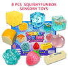 Squishy Sensory Fidget Toy Set